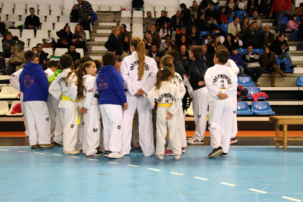 Taekwondo Dic 2016 (15).jpg